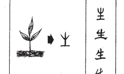 妊娠期中药用药禁忌-妊娠期中药用药禁忌网 - 为你提供妊娠中药配伍禁忌、中药妊娠慎用药口诀
