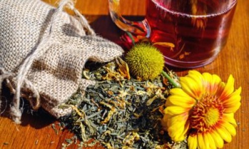 妊娠期中药用药禁忌网 - 为你提供妊娠中药配伍禁忌、中药妊娠慎用药口诀